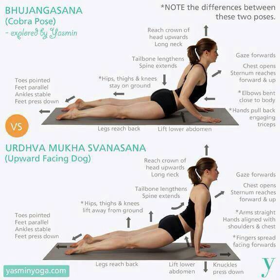 Yoga's Got Your Back: 10 Poses To Soothe Your Back Pain – The Post India